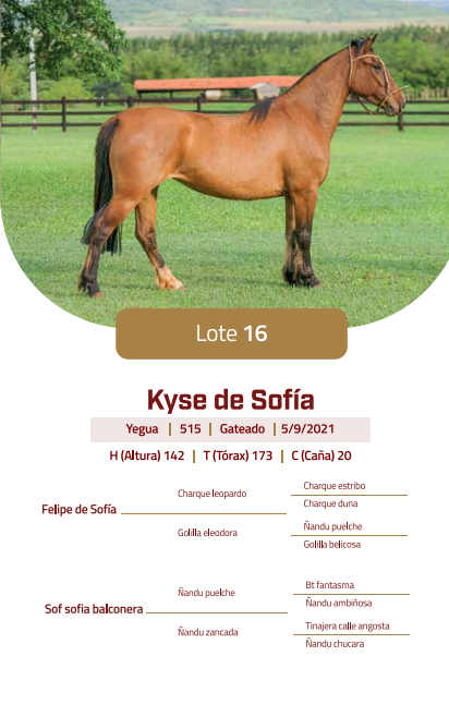Lote LOTE 16