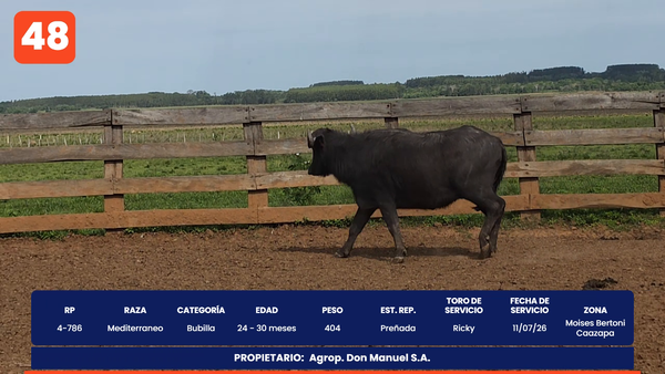 Lote LOTE 48