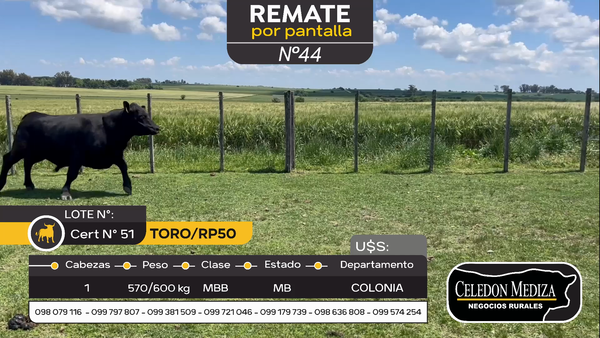 Lote Toro RP50 en Otra Localidad, Colonia