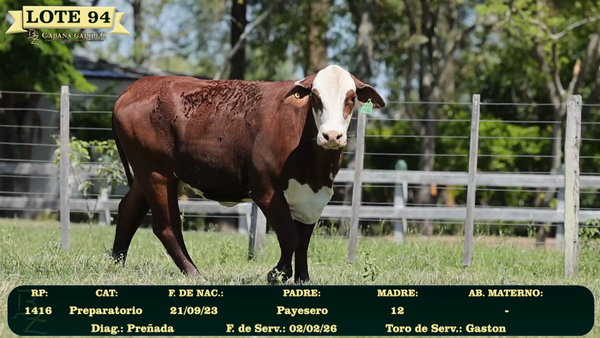 Lote LOTE 94
