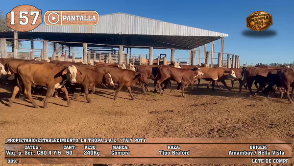 Lote LOTE 157 - PANTALLA