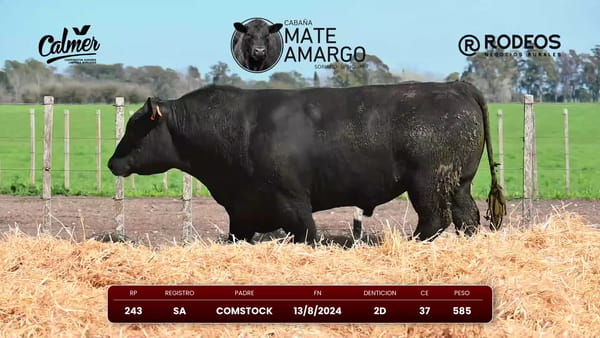 Lote RP 243 SA