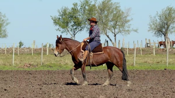 Lote Santa Ines Llorona