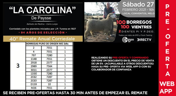 Lote 12 Borregas en Cerro Largo, Cerro Largo