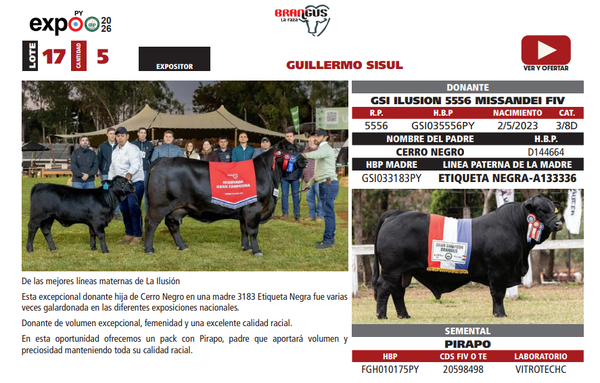 Lote LOTE 17