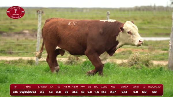 Lote Hereford