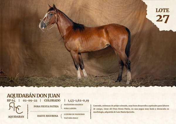 Lote AQUIDABAN DON JUAN