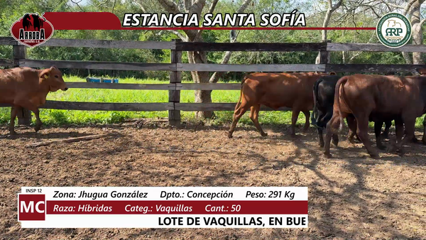 Lote ESTANCIA SANTA SOFÍA