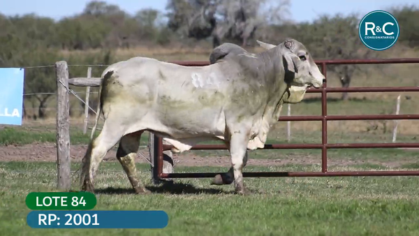 Lote Brahman