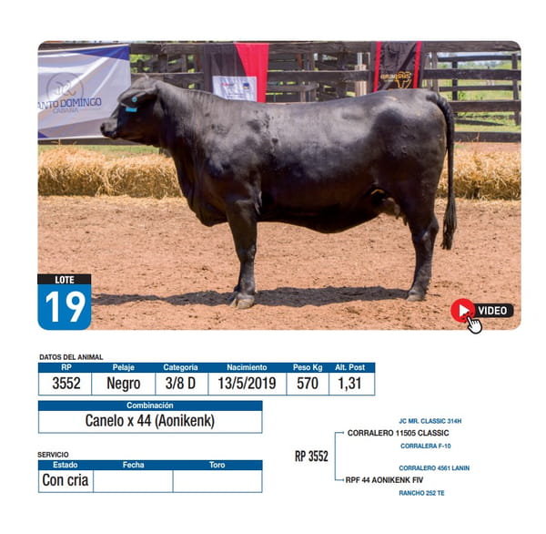 Lote Canelo x 44 (Aonikenk)