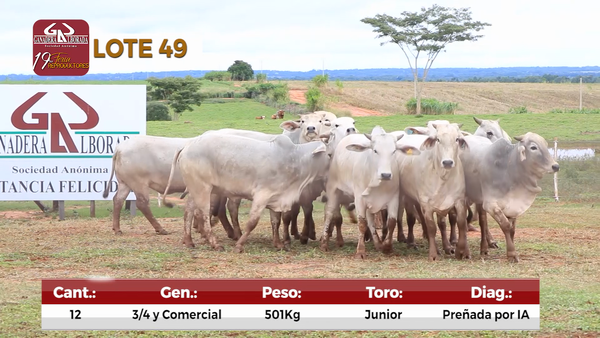 Lote Reproductores de Alborada - Lote 49