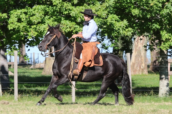 Lote CATANDUVA AGATHA-TE