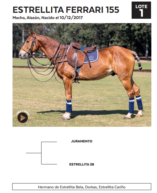Lote LOTE 1
