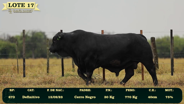 Lote LOTE 17