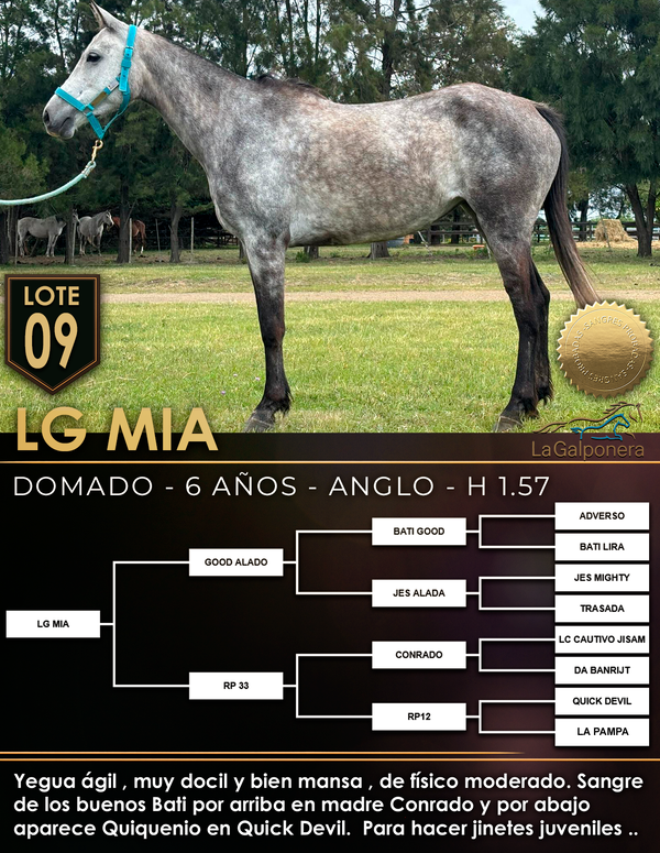 Lote LG MIA