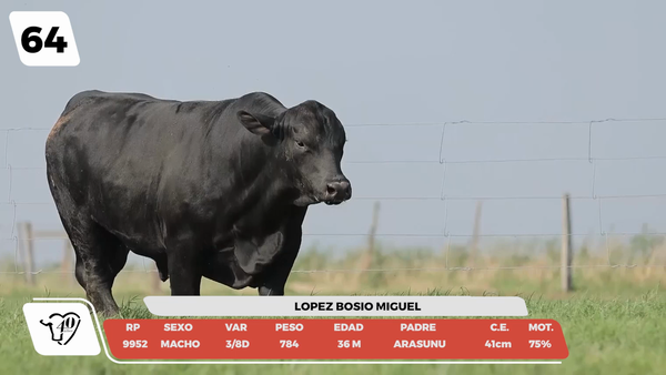 Lote LOTE 64-DE CAMPO