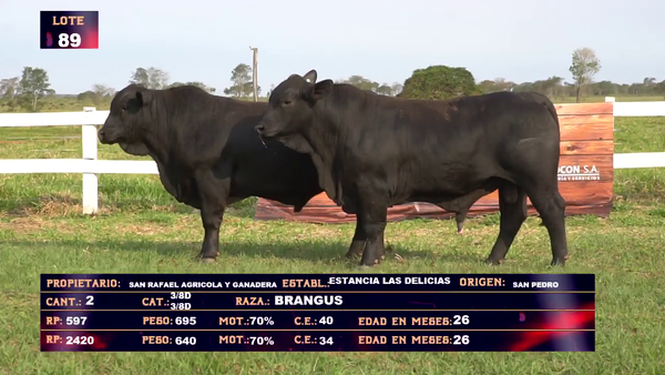 Lote AGRICOLA Y GRANADERA SAN RAFAEL - LOTE 89