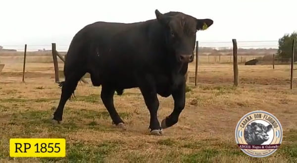 Lote CABAÑA DON FLORINDO