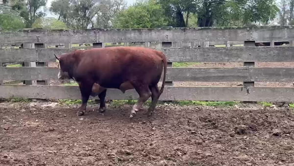 Lote Las Varges RP 284