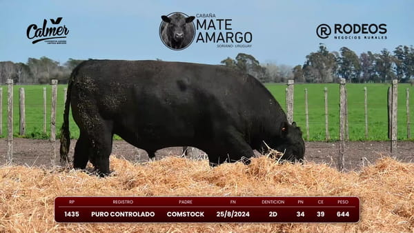 Lote RP 1435 PC