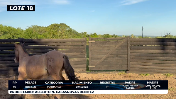 Lote LOTE 18