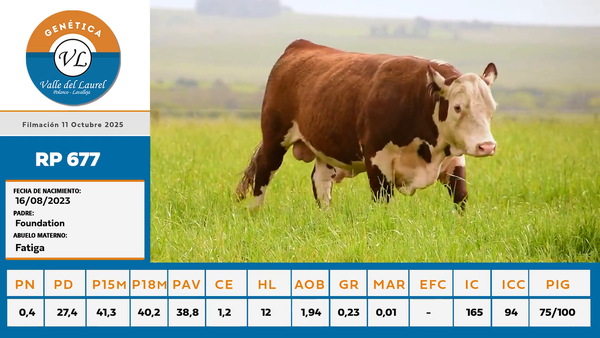 Lote 4 - Valle del Laurel