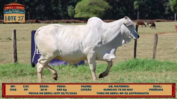 Lote LOTE 27