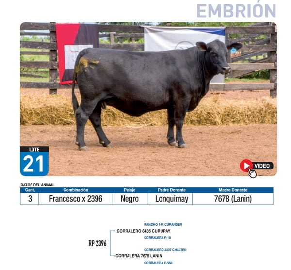 Lote Francesco x 2396