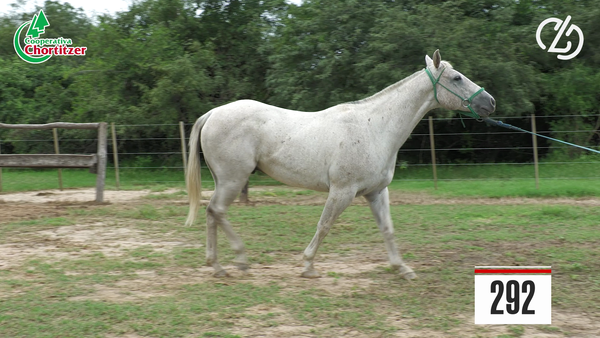 Lote Cuarto de Milla