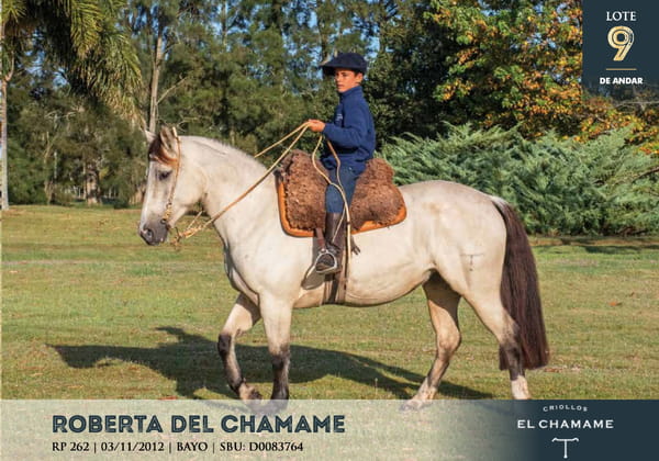 Lote ROBERTA DEL CHAMAME