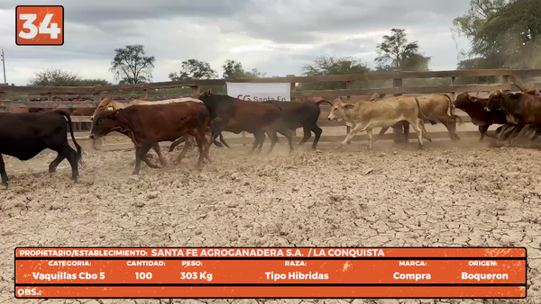 Lote LOTE 34