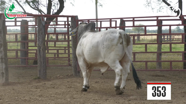 Lote Brahman