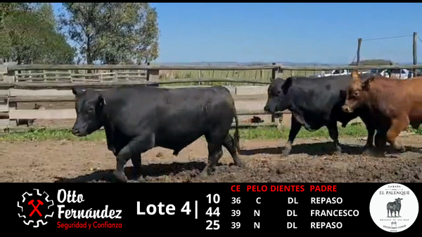 Lote LOTE 4 EL PALENQUE