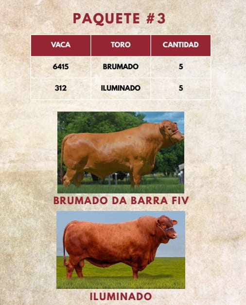Lote LOTE 39