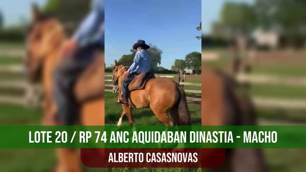 Lote ANC AQUIDABAN DINASTIA