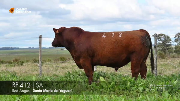 Lote RP 412
