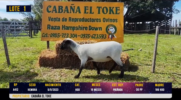 Lote LOTE 1