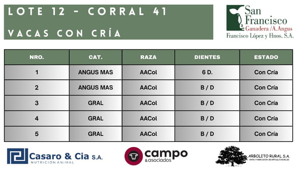 Lote Vacas con Cría San Francisco