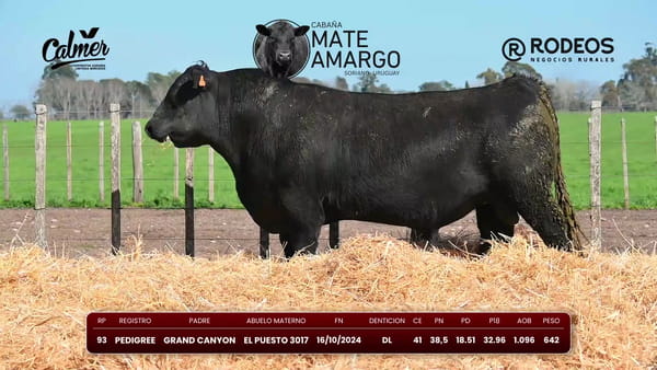 Lote RP 93 PI