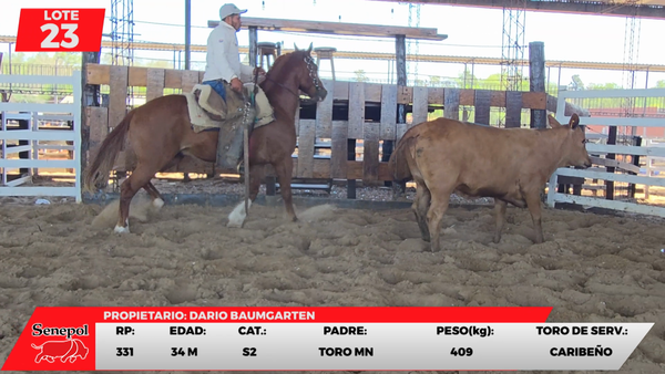 Lote LOTE 23
