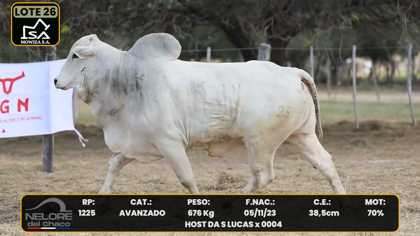 Lote LOTE 26