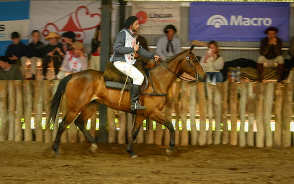 Lote ATALAYA CAUTIVA