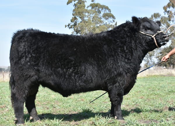 Lote RINCON ILUSIONADOR EXCHANGE