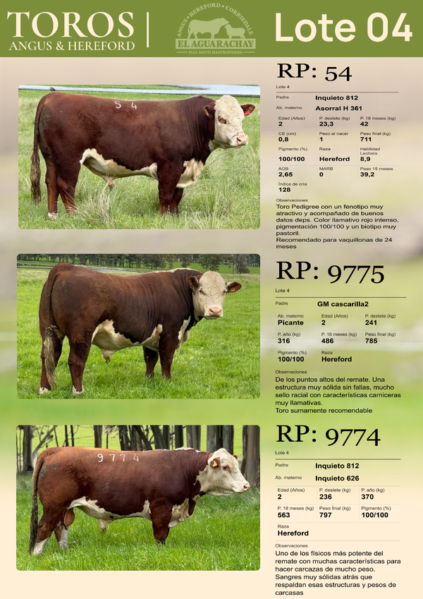 Lote LOTE 04