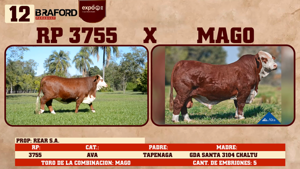 Lote LOTE 12