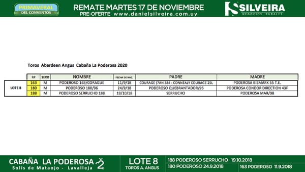 Lote Cabaña La Poderosa
