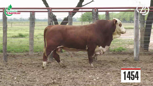 Lote Braford