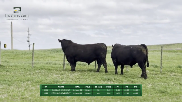 Lote Lote 2 - Los Verdes Valles