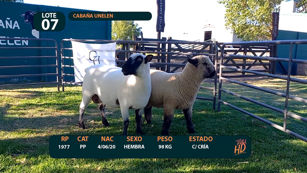 Lote LOTE 7 - CABAÑA ARGENTINA