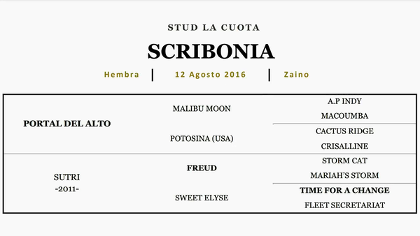 Lote SCRIBONIA (PORTAL DEL ALTO - SUTRI)